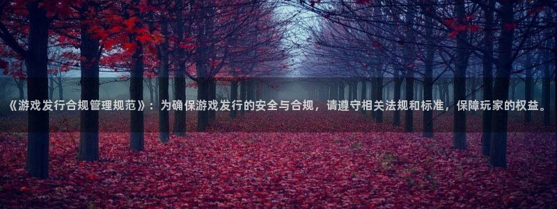 ag街机子小说：《游戏发行合规管理规范》：为确保游戏发行的安全与合规，请遵守相关法规和标准，保障玩家的权益。