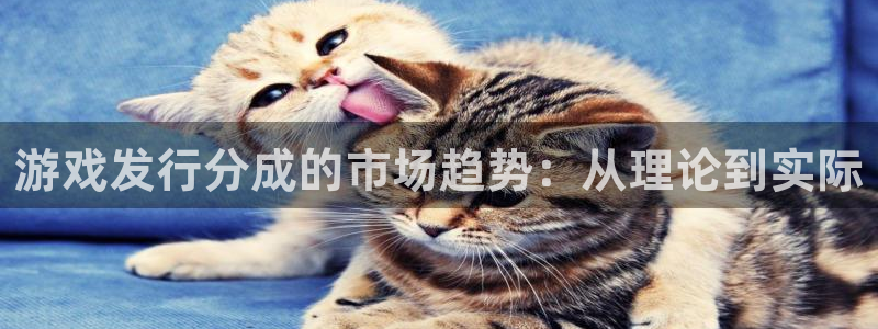 广州ag街机网络科技有限公司怎么样：游戏发行分成的市场趋势：从理论到实际