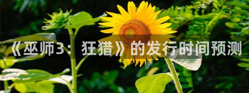 佛山ag街机