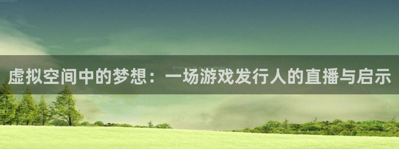 ag街机官网客服服务电话：虚拟空间中的梦想：一场游戏发行人的直播与启示