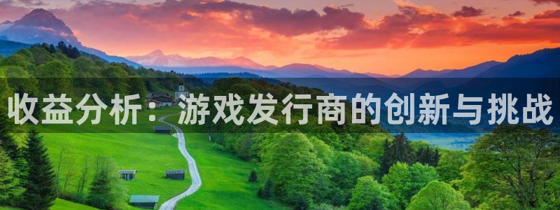 ag街机官网分红：收益分析：游戏发行商的创新与挑战