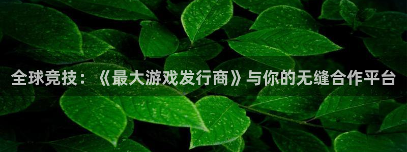 ag街机环境：全球竞技：《最大游戏发行商》与你的无缝合作平台