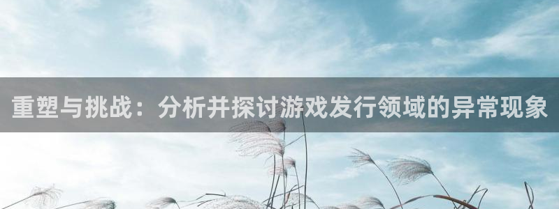 ag街机官网客服：重塑与挑战：分析并探讨游戏发行领域的异常现象