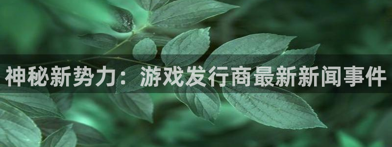 ag街机官网注册平台登录入口：神秘新势力：游戏发行商最新新闻事件