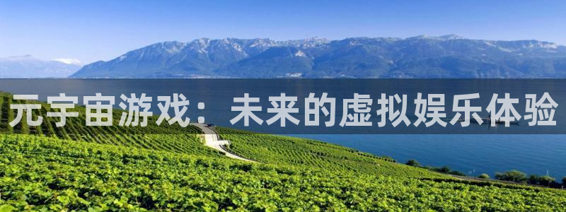 ag街机集团董事长刘一辰简历：元宇宙游戏：未来的虚拟娱乐体验