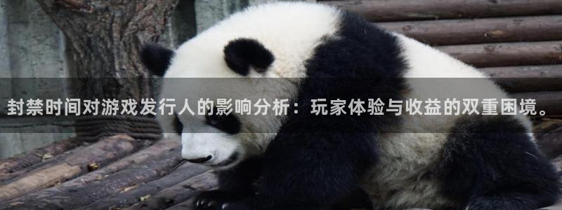 ag街机子赚话费：封禁时间对游戏发行人的影响分析：玩家体验与收益的双重困境。