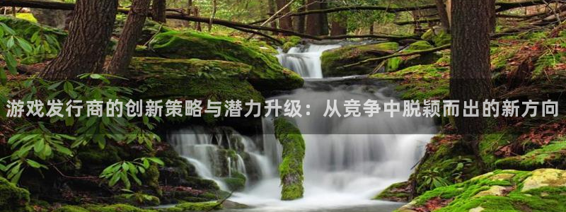 ag街机官网注册平台：游戏发行商的创新策略与潜力升级：从竞争中脱颖而出的新方向