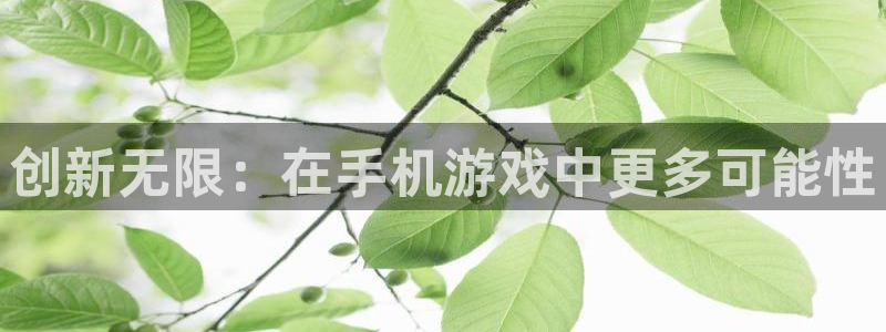 ag街机官网客服服务：创新无限：在手机游戏中更多可能性