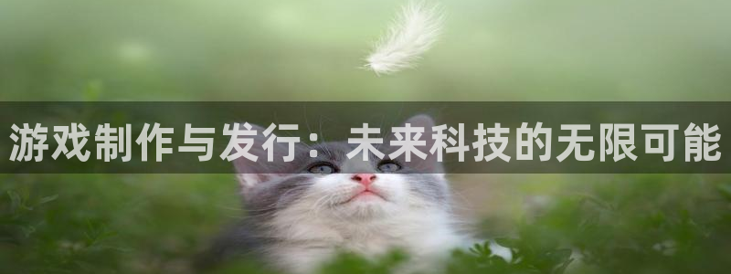 ag街机官网平台招商qq：游戏制作与发行：未来科技的无限可能