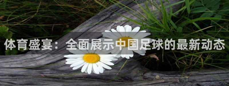 jrkan体育直播：体育盛宴：全面展示中国足球的最新动态