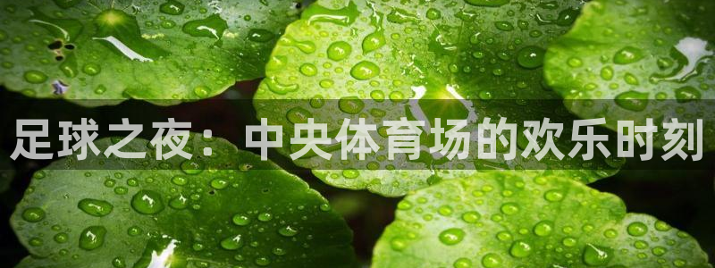 jr看球直播网：足球之夜：中央体育场的欢乐时刻